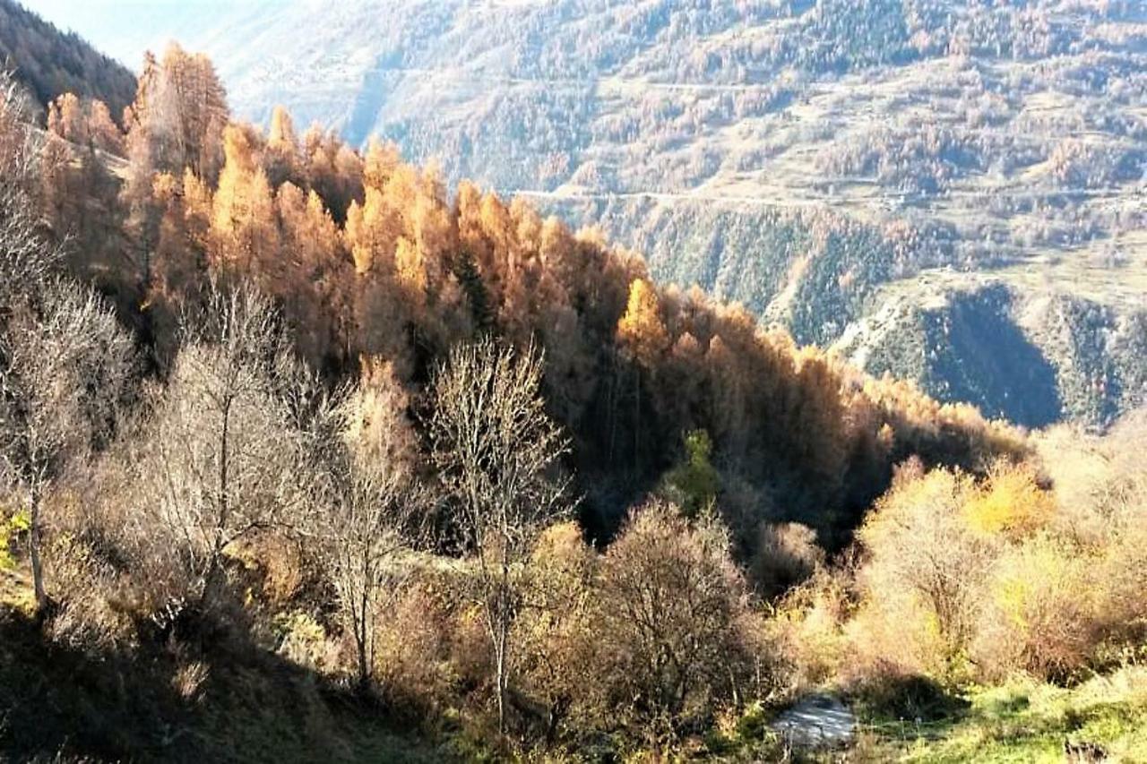La Chaumiere D'Herens Vernamiège المظهر الخارجي الصورة